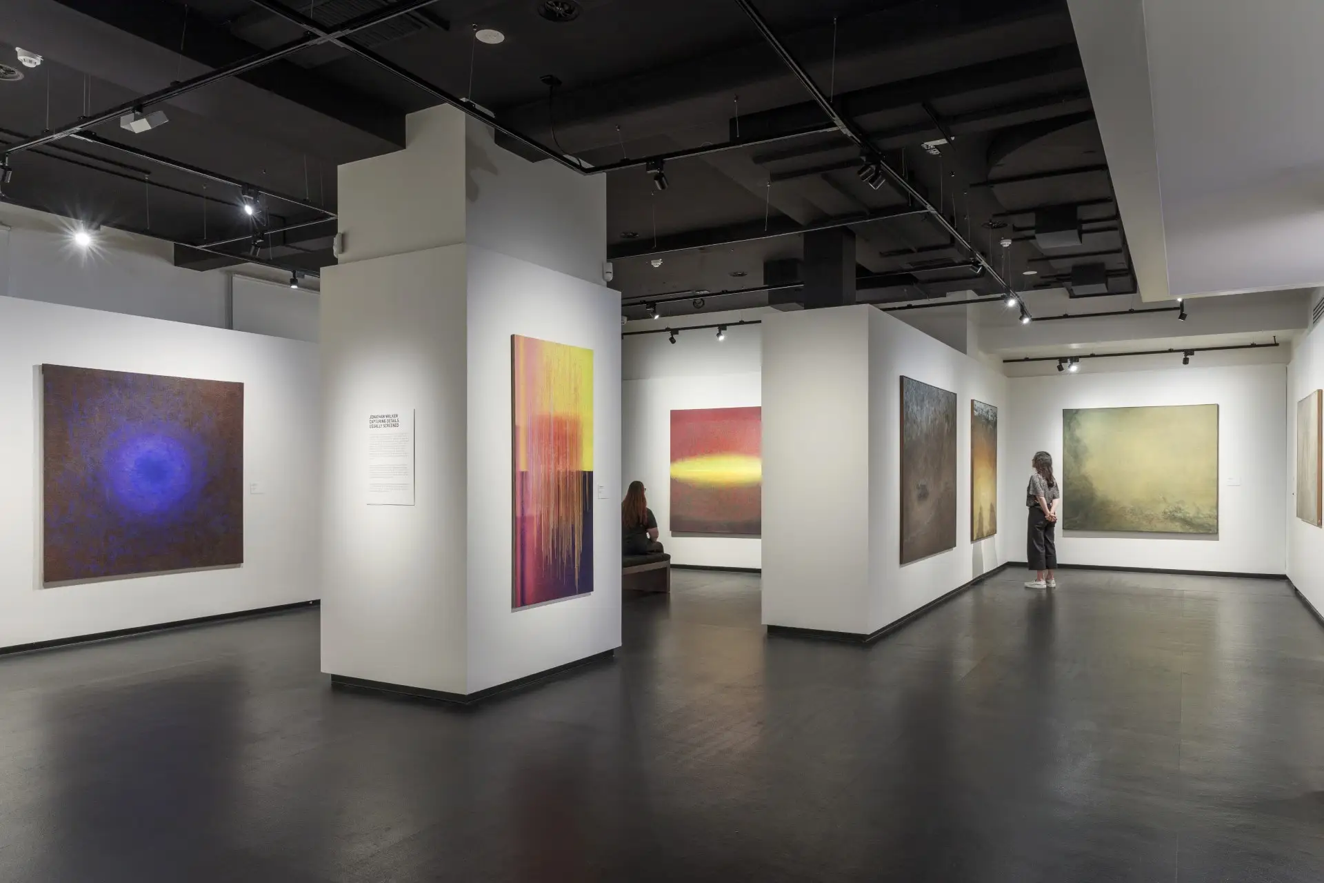 Provisional image: gallery exhibition installation with large abstract paintings